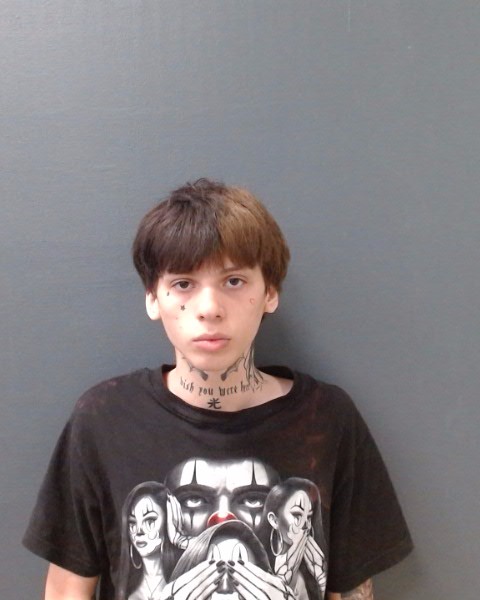 MEZA, BRAIDEN BLAKE booking photo