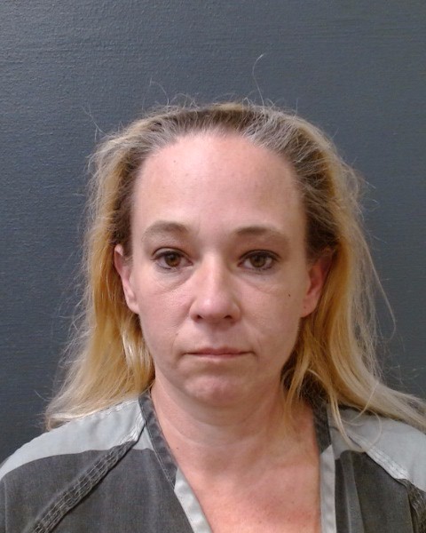WILSON, RACHEL DIANE-HILL booking photo