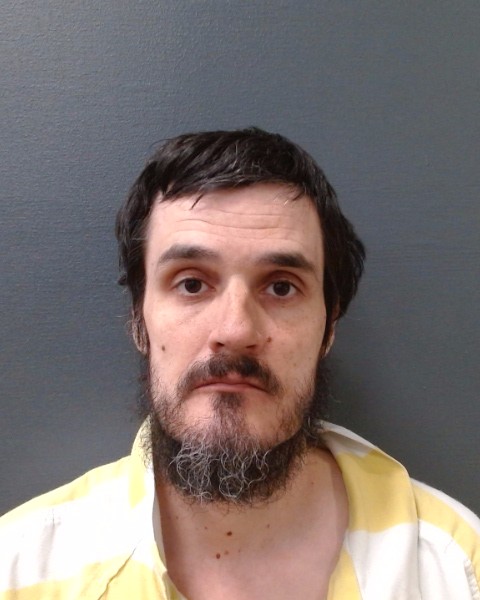 SWANN, DANIEL BROWNING booking photo