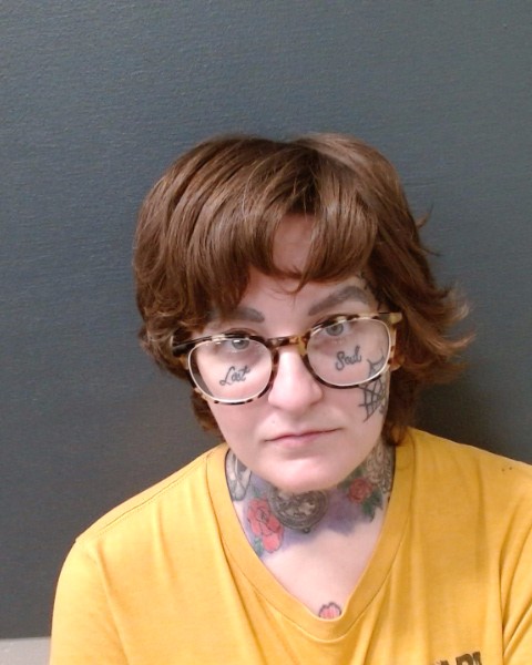 PLUMMER, KARA RENE booking photo