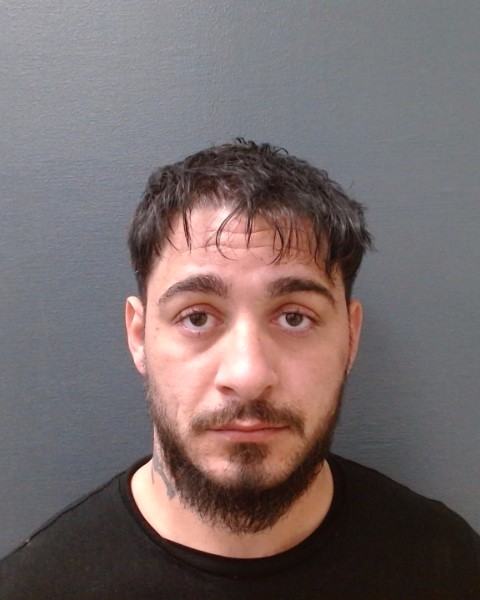 HORNEA, GIOVANNI booking photo