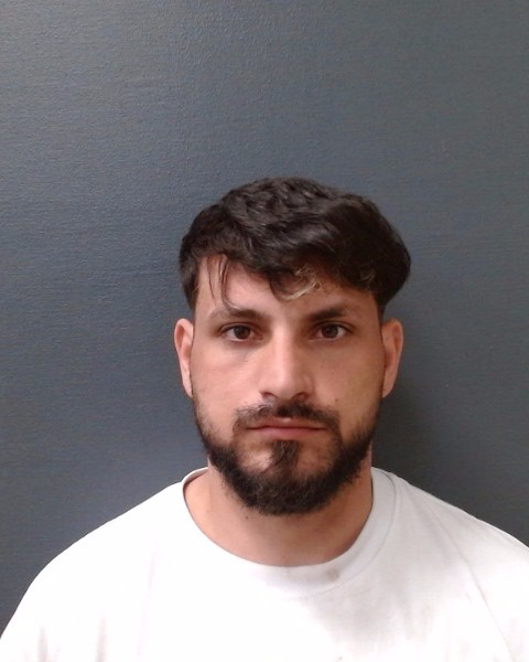 DUMITRU, ISAAC booking photo