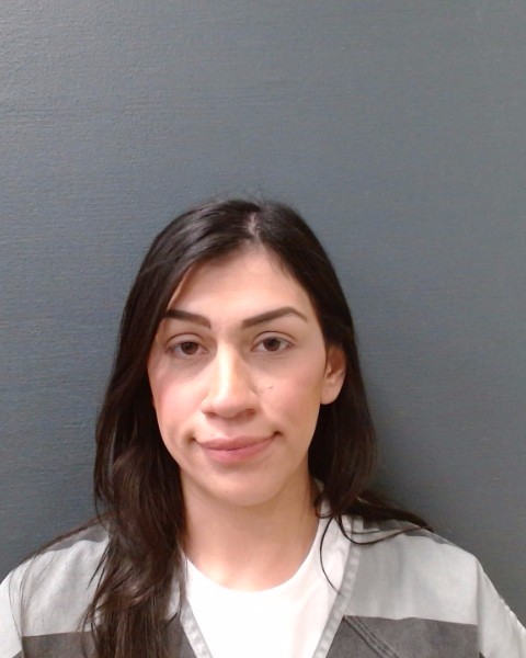 GONZALEZ, ANALEE booking photo