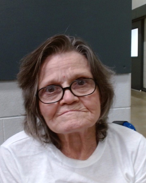 SMITH, DIANA LYN booking photo