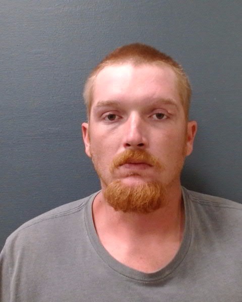 STEAR, MATTHEW DALTON booking photo