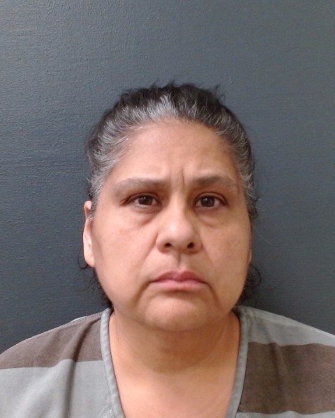 RIDINGS, VERONICA booking photo