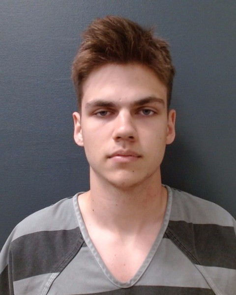 KOROL, ILLIA booking photo