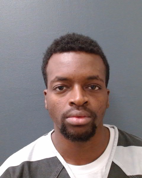 LEWIS, CHRISTIAN PIERRE booking photo