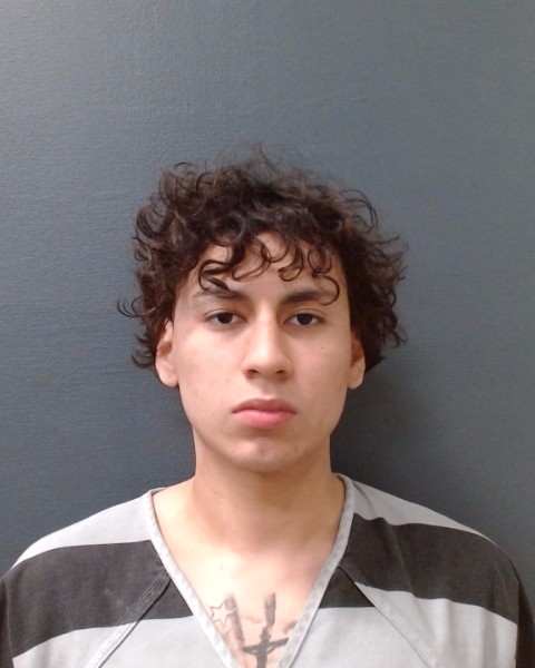 MEDRANO, NICOLAS DAMIEN booking photo
