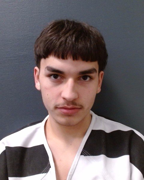 HERNANDEZ, BRENDAN LEE booking photo