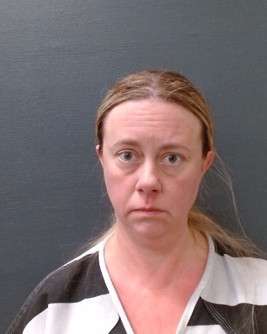HIGGINS, MARISSA ANNE booking photo
