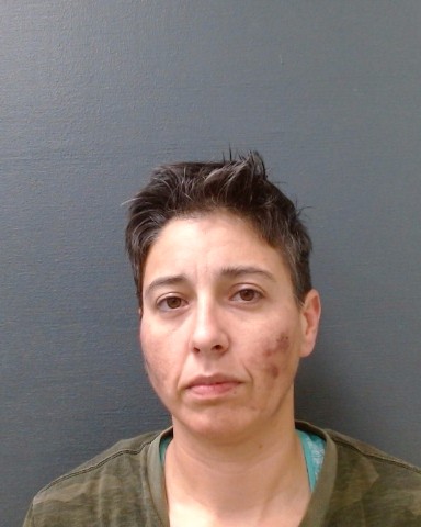 CASTILLO, BRIANNA LAURA booking photo