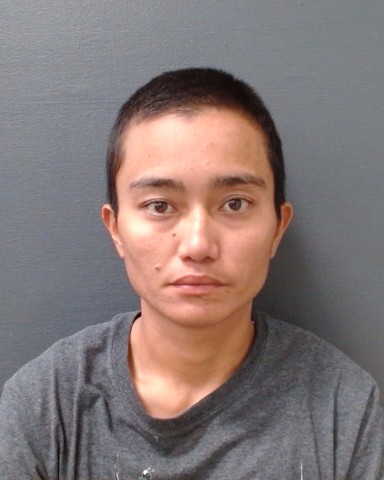 JONES, JANET LESSOY booking photo