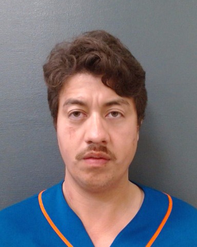 CASTRO PINALES, CHRISTIAN booking photo
