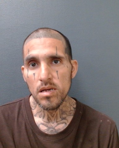 ACOSTA, DAVID booking photo