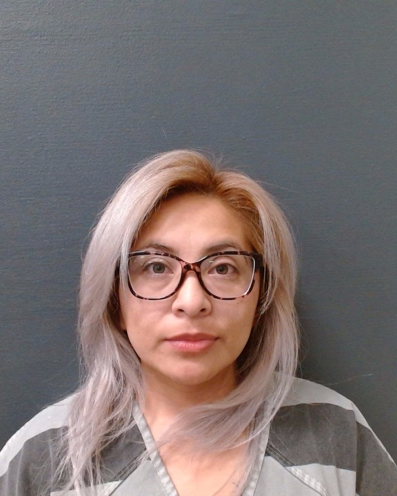 ORTEGA, LAURA LETICIA booking photo