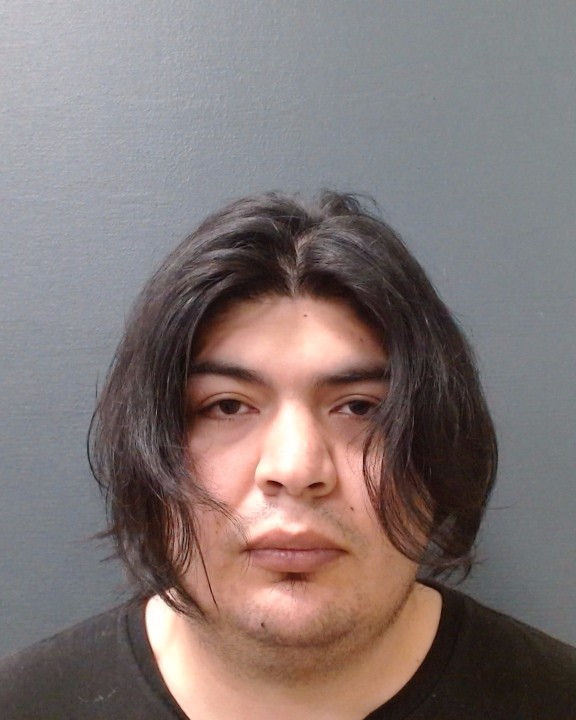 PATINO, RICARDO booking photo
