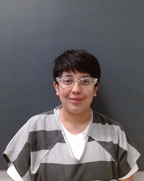 ORTEZ, THERESA LIZETTE booking photo