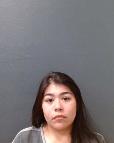 GONGORA, DANIELLE LYNN booking photo