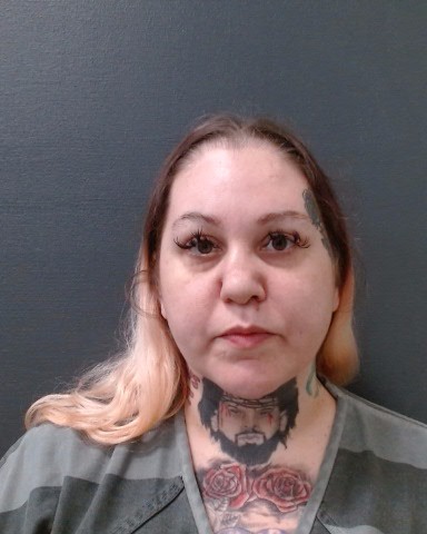HENDERSON, MEAGAN NICOLE booking photo