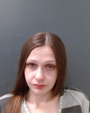 DAVIN, RILEY MACKENZIE booking photo