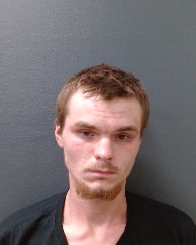 PFANTZ, MASON LANE booking photo