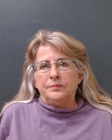 MCDANIEL, LINDA MARIE booking photo