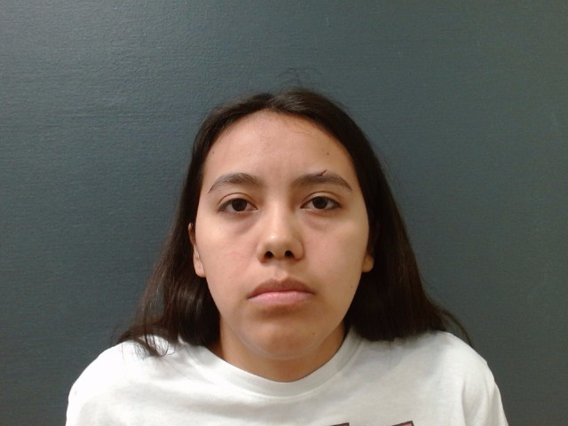 RAMIREZ, LINDA VANESSA booking photo