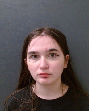 TORGERSON, NICOLE booking photo