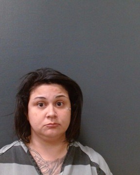 TREVINO, LESLEY booking photo
