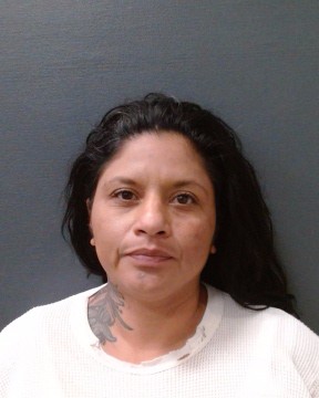 CASTILLO, CHRISTINA VARGAS booking photo