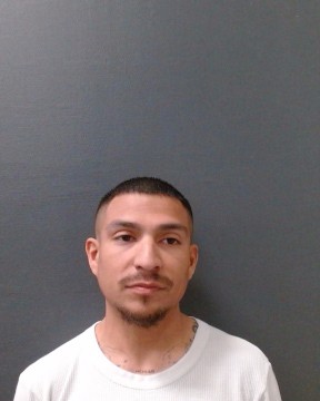 RODRIGUEZ, NICOLAS RYAN booking photo