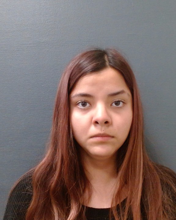 FLORES, FERNANDA PAMELA booking photo