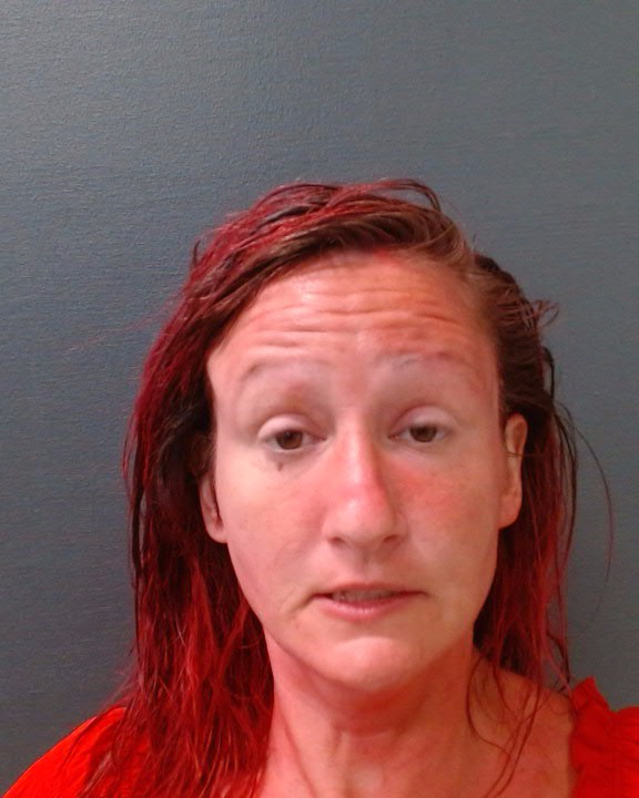 THOMPSON, HANNAH KELLEY booking photo