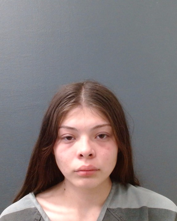SANDOVAL, SAVANNAH LEANN booking photo
