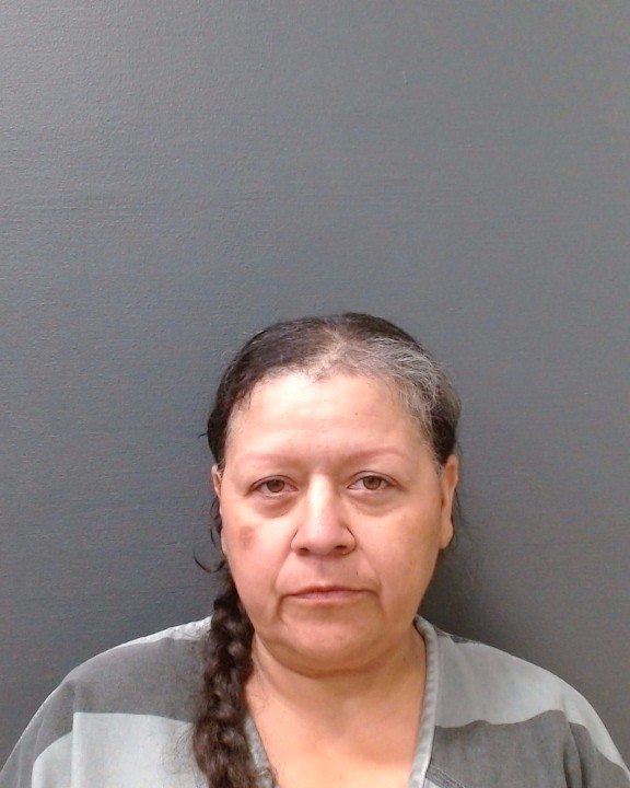 GONZALES, LISA GENE booking photo