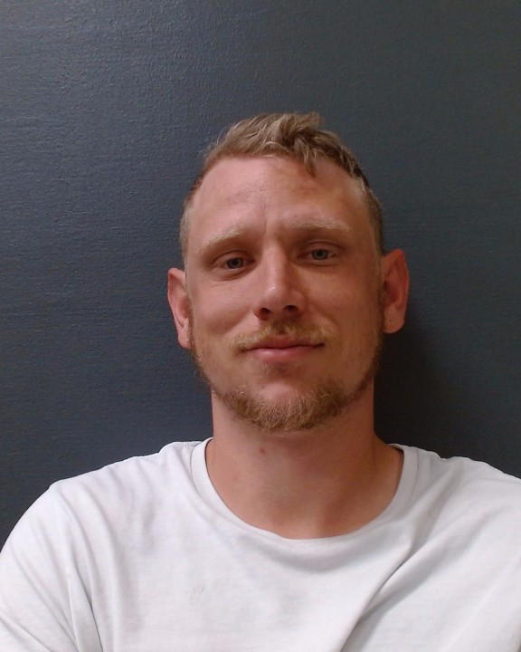 BLEEKER, BRANDON LEVI booking photo