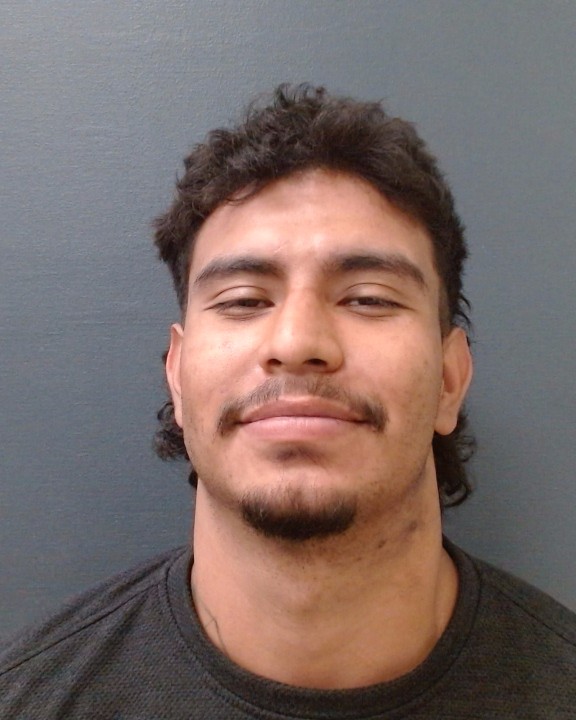 AVILA, GUSTAVO booking photo