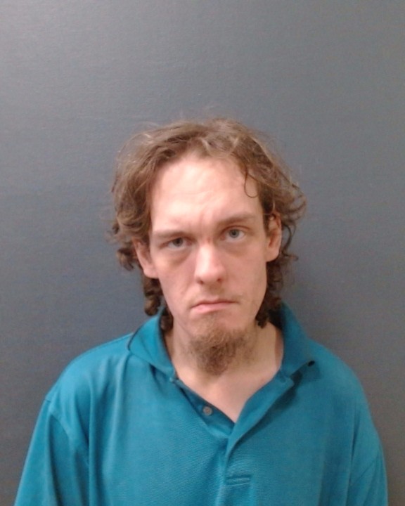 HAYES, AUSTIN PHILLIP booking photo