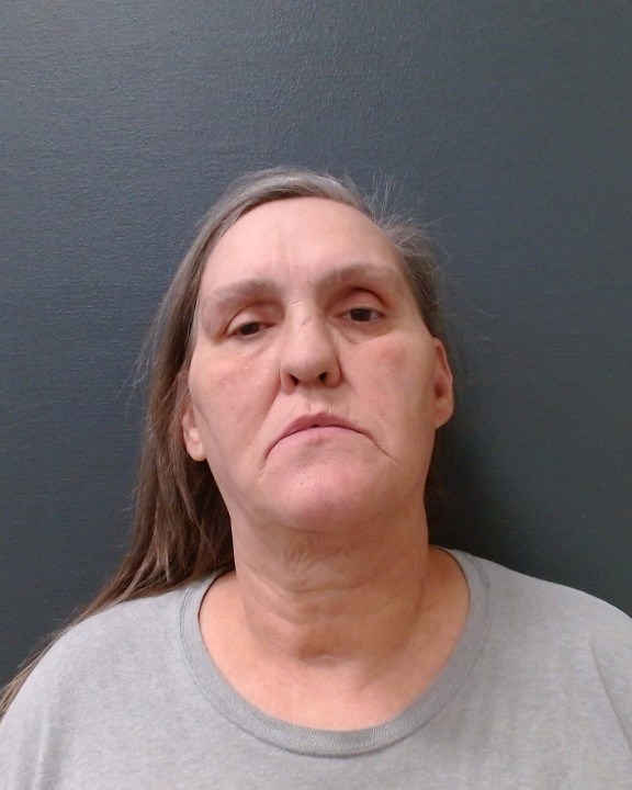 GOLDSBERRY, TANYA DENEE booking photo