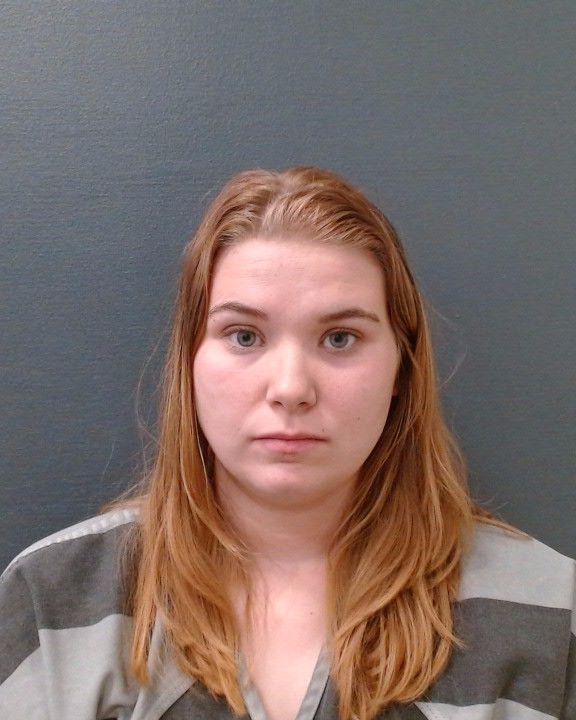 HINESLEY, DIANE MARIE booking photo