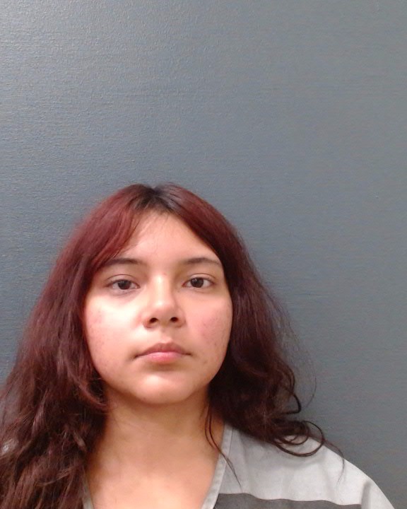 GUTIERREZ, JAZIEL NICOLETTE booking photo