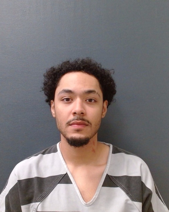 TORRES, DION CARLOS booking photo