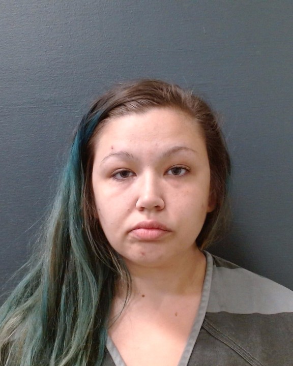 PRENTICE, AMY DANIELL booking photo