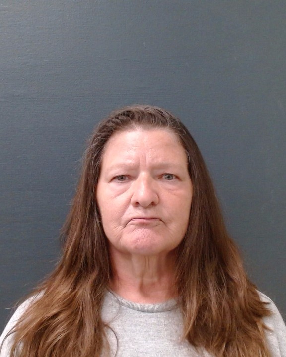 KETCHUM, THERESA ANN booking photo