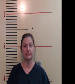 Hamilton, Alison Lee booking photo