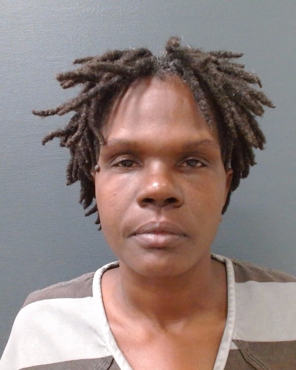 JONES, NATASHA NICOLE booking photo