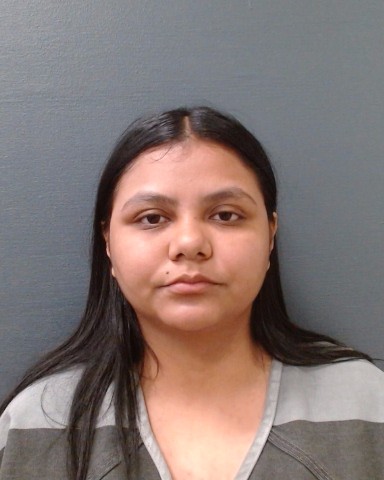 PALENCIA, ANA PAOLA booking photo