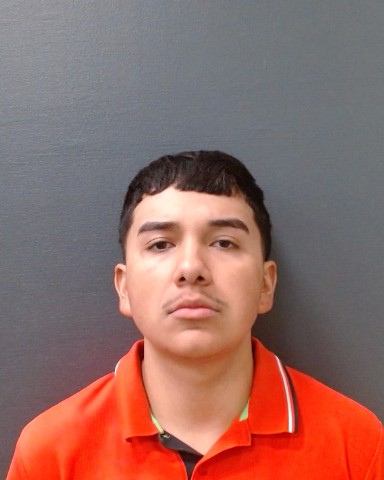 RAMOS-PIMENTEL, BRYAN MANUEL booking photo