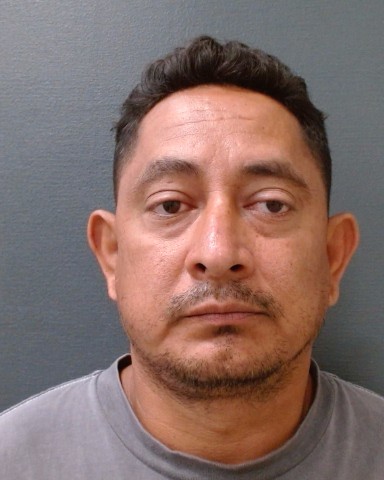 GOMEZ ZABALA, JORGE ALBERTO booking photo